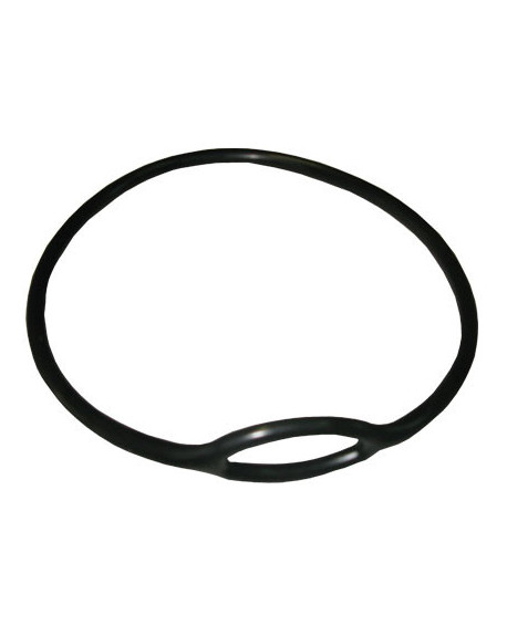 TDS SINGLE TANK GULL Z TEK REGULATOR